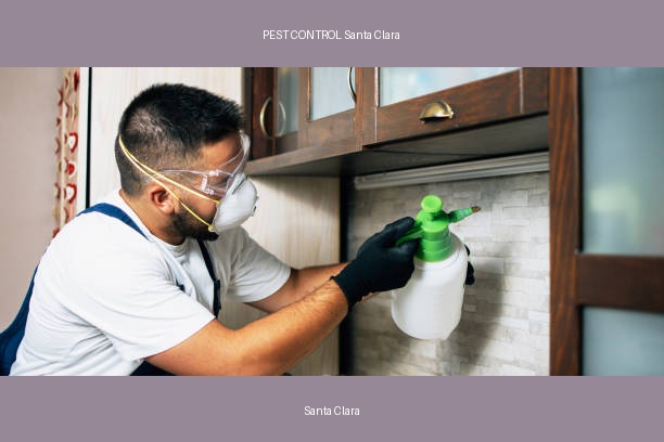 PEST CONTROL Santa Clara